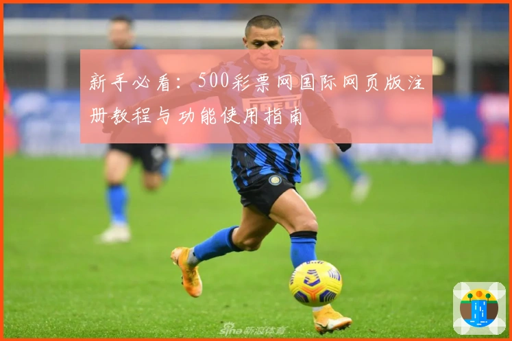 新手必看：500彩票网国际网页版注册教程与功能使用指南