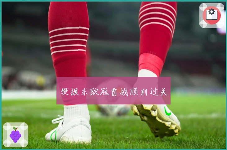 樊振东欧冠首战顺利过关